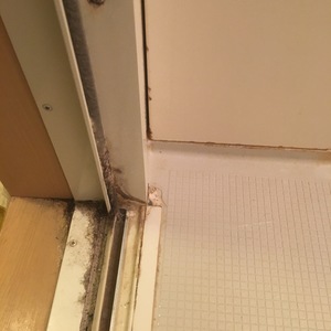 川島町　川越市　浴室掃除　ハウスクリーニング