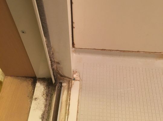 川島町　川越市　浴室掃除　ハウスクリーニング