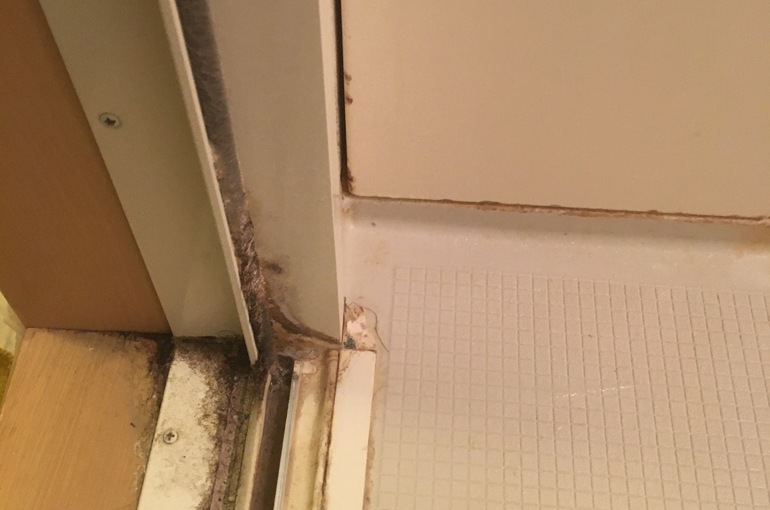 川島町　川越市　浴室掃除　ハウスクリーニング