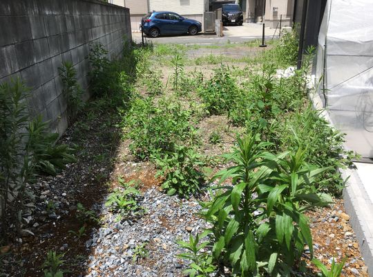 熊谷、草むしり、施工前